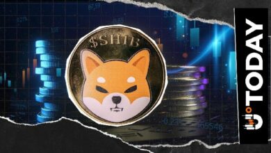 تحديث مجتمع شيبا إينو: إطلاق مهارة ShibClaw الجديدة مع تحذير هام