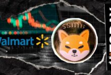 شيبا إينو تُدرج على منصة التكنولوجيا المالية التي تمتلك وولمارت حصة كبيرة فيها