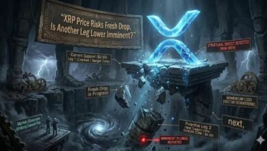 سعر XRP يواجه خطر انخفاض جديد: هل يستعد لموجة هبوط أخرى؟