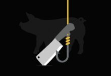 "تقطيع الخنازير" يخلق صناعات جديدة بالكامل في عالم العملات الرقمية