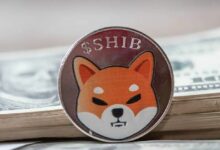 تحول في وضع شيبا إينو: كيف قد يغير تصنيف هيئة الأوراق المالية والبورصات كل شيء