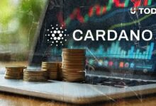 عملة كاردانو المستقرة تحقق إنجازاً جديداً بتجاوز معروض USDC 17 مليون وحدة