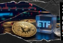 تراجع البيتكوين يوقف الطلب المؤسسي مع سحب صناديق الاستثمار المتداولة 348.83 مليون دولار