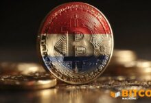 باراغواي تشدد الرقابة على العملات الرقمية وتفرض الإبلاغ التفصيلي لمعاملات البيتكوين