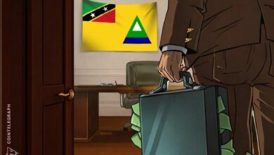 مشروع مليونير العملات الرقمية في نيفيس يقدم 100 دولار شهريًا للمقيمين: تقرير فاينانشيال تايمز