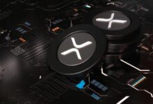 تزايد حاد في تراكم عملة XRP مع حصول الحيتان على أكثر من 120 مليون وحدة
