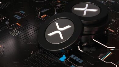 تزايد حاد في تراكم عملة XRP مع حصول الحيتان على أكثر من 120 مليون وحدة