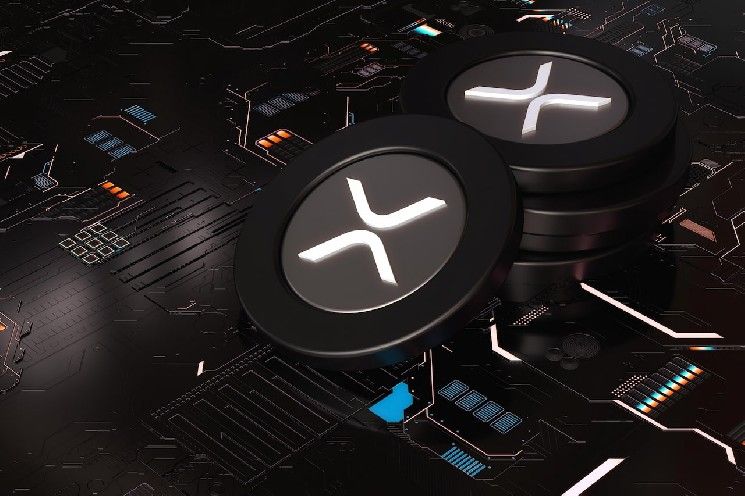تزايد حاد في تراكم عملة XRP مع حصول الحيتان على أكثر من 120 مليون وحدة
