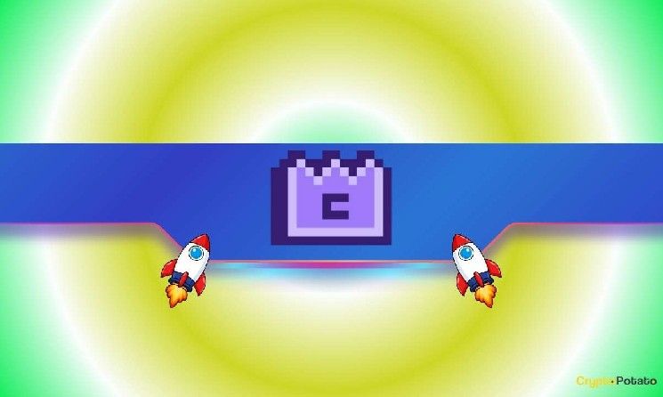 ميم كور (M) يتفوق على شيبا إينو (SHIB) بعد ارتفاعه 50% في أسبوعين: ما التالي للعملات المشفرة؟