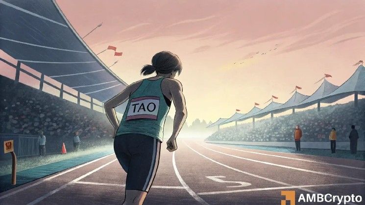 بيتينسور: هل يشترى المضاربون الآن أم ينتظرون تراجع السعر تحت 300 دولار؟