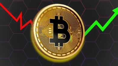 انخفاض البيتكوين دون 66 ألف دولار: تحليل الرسوم البيانية يشير إلى فرصة شراء وسط توقعات بهبوط حاد للسوق