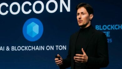 اقتصاد الشرنقة: لماذا لن يحقق جهاز ألعابك أرباحًا من الذكاء الاصطناعي