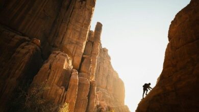 أسعار البيتكوين والإيثيريوم وسولانا ترتفع مع اقتراب حلفاء الخليج من الانضمام لحرب إيران