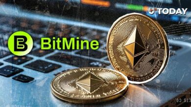 توم لي يضخ 102 مليون دولار إضافية في الإيثيريوم عبر "بيتماين" رغم خسائر غير محققة بقيمة 7 مليارات دولار