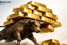 شيف يتأمل صعود الذهب إلى 11,400 دولار مع انخفاض الأسعار وتوقعات صعود بنسبة 178% تحت التساؤل