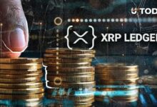 لا تترك ذكاءك الاصطناعي يحرق أصول XRP الخاصة بك: تحذير عاجل لمستخدمي شبكة XRP ليدجر من أحد أبرز المساهمين