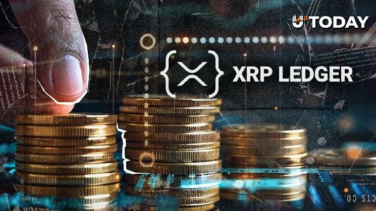لا تترك ذكاءك الاصطناعي يحرق أصول XRP الخاصة بك: تحذير عاجل لمستخدمي شبكة XRP ليدجر من أحد أبرز المساهمين