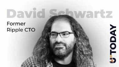 شوارتز من ريبل: منطق خاطئ يزعم أن مبيعات XRP تمنح خصومات
