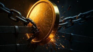 بيتكوين: هل ستكرر دورة 2026 تحطم 2022 فعلاً؟ التخفيض، الصناديق المتداولة، والسيولة العالمية في الدورة الجديدة