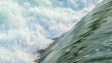 مستثمرون يسحبون 171 مليون دولار من صناديق البيتكوين ETF في أكبر تدفق خارجي خلال ثلاثة أسابيع