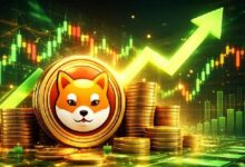 شهدت عملة شيبا إينو ارتفاعًا هائلاً في حجم المشتقات وتدفقات العقود الآجلة