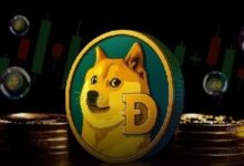 سعر Dogecoin يرتفع بقوة مع قفزة العملات الميمية 10% – هل هذا الصعود مستمر؟