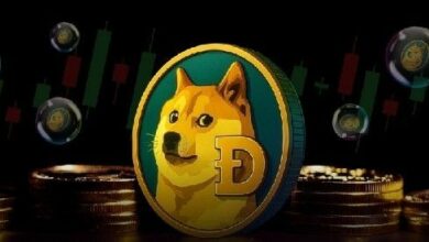سعر Dogecoin يرتفع بقوة مع قفزة العملات الميمية 10% – هل هذا الصعود مستمر؟
