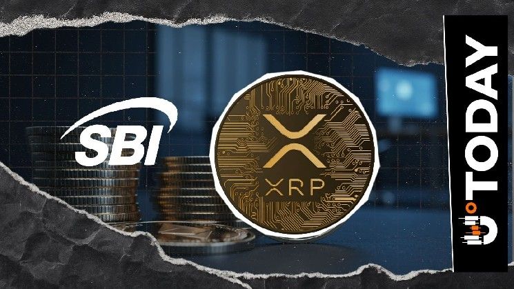 رئيس "إس بي آي هولدنجز" يمنح مستثمري XRP مكافآت مالية