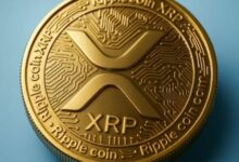 محللون يتوقعون سعرًا محافظًا لـ XRP في حال كرر أداء 2017