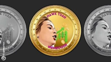 هالي ويلش صاحبة "هوك تواه" تنفي تورطها في انهيار عملة ميمي بينما تزداد خطورة الأسواق