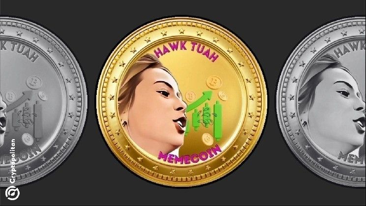 هالي ويلش صاحبة "هوك تواه" تنفي تورطها في انهيار عملة ميمي بينما تزداد خطورة الأسواق