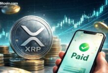 لماذا تجعل أسعار XRP الأعلى المدفوعات أرخص؟ شوارتز من Ripple يوضح سوء الفهم