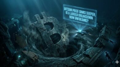 سعر البيتكوين يهوي: هل بدأ الانهيار الكبير؟
