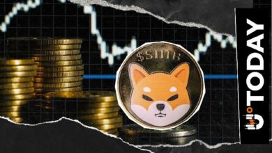 مشتقات SHIB تشهد قفزة بنسبة 1,549% في صافي التدفقات: هل ضغط البيع على المكشوف يلوح في الأفق؟