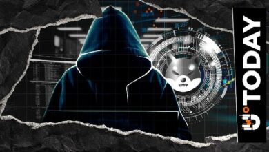 شيتوشي كوساما يحدث موقع ملفه الشخصي على X وسط استمرار إصلاحات أخطاء واجهة المستخدم