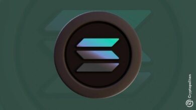 معاملات العملات المستقرة على سولانا تشهد طفرة في فبراير