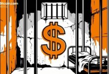 هيئة الأوراق المالية الأرجنتينية تحظر عمليات عملة بيزو المستقرة