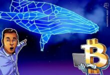 حيتان البيتكوين تعاود التراكم عند مستوى 71 ألف دولار: Santiment