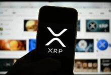 FXRP يقفز 600٪ خلال عام ليصبح المعيار الريادي للتمويل اللامركزي (DeFi) لـ XRP