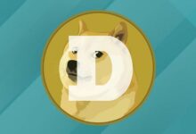 قناة هبوطية للدوجكوين تُحدِّد موقعه في الدورة الحالية