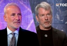 "بيتر شيف يستفز مايكل سايلور: خسارة البيتكوين 4.5% وخطط بقيمة 44 مليار دولار تحت المجهر"