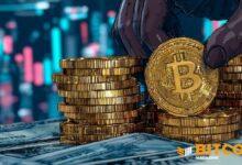 إطلاق مؤسسة سيتريا لدفع عهد البرمجة المتقدمة في شبكة البيتكوين