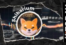 تحديث شبكة شيباريوم: إصدار تغييرات بنية تحتية جوهرية لمجتمع SHIB