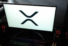 "فايرلايت" تحقق إنجاز 50 مليون XRP مع ارتفاع الطلب على حماية التمويل اللامركزي (DeFi)