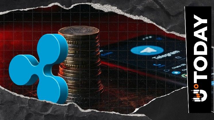 ريبل توضح: لا وجود لقناة تلغرام رسمية مع تزايد حسابات الاحتيال