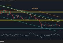 توقعات سعر الريبل: دعم رئيسي واحد فقط يفصل XRP عن الانهيار تحت مستوى 1 دولار