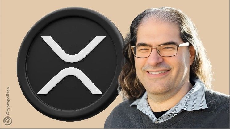 رئيس التقنية في ريبل يوضح أسباب الارتفاع المفاجئ في رسوم معاملات XRP