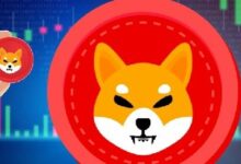 سعر شيبا إينو تحت الضغط مع انخفاض معدل حرق العملة 45%