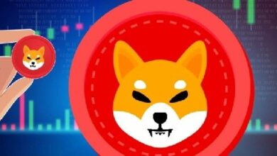 سعر شيبا إينو تحت الضغط مع انخفاض معدل حرق العملة 45%