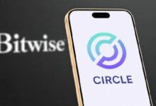 رئيس الاستثمار في بيتوايس: سيركل قد تصل قيمتها إلى 75 مليار دولار بحلول 2030 رغم عمليات البيع الأخيرة